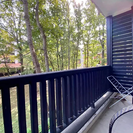 Paradise Complex * 普里莫尔斯科