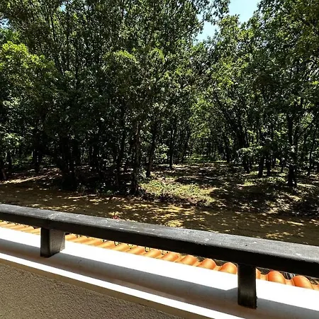 公寓 Paradise Complex *