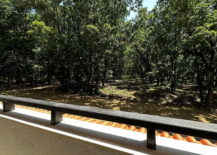 Appartement Paradise Complex *