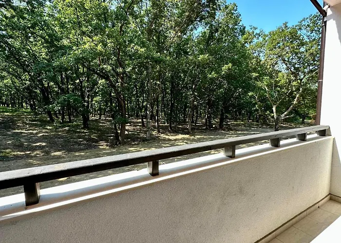 Apartment Paradise Complex *